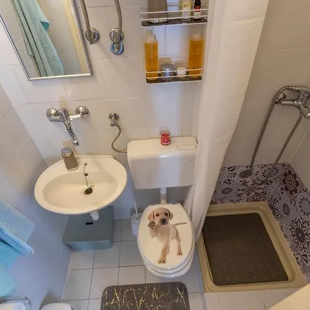 Family Friendly House With A Swimming Pool Vinez, Labin - 22240 Holiday home Vinez