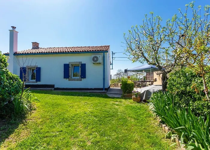 度假居 Family Friendly House With A Swimming Pool Vinez, Labin - 22240 *