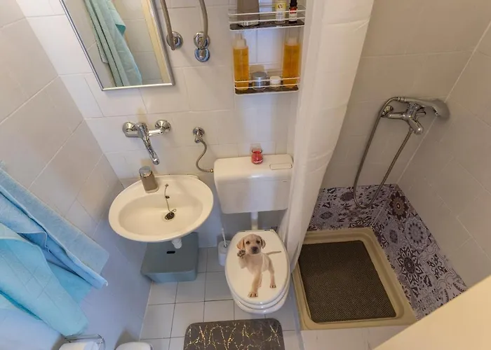 Family Friendly House With A Swimming Pool Vinez, Labin - 22240 度假居 Vinež