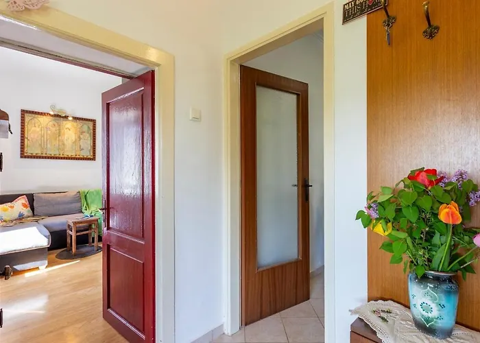 Family Friendly House With A Swimming Pool Vinez, Labin - 22240